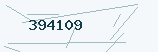 Six digit security code